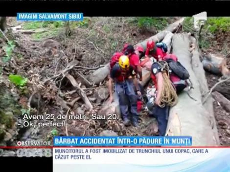 Un tânăr a suferit un accident de muncă, într-o pădure din munţii Făgăraş