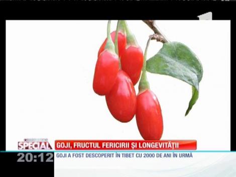 SPECIAL! Goji, fructul fericirii şi longevităţii