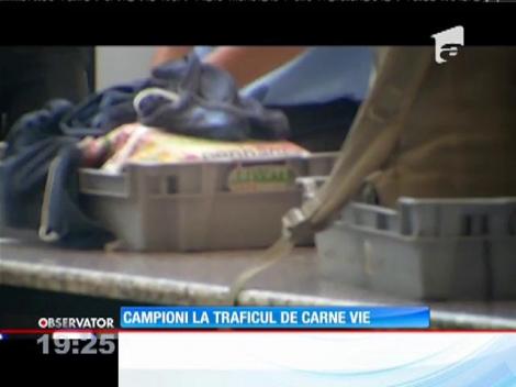 Cum puteţi ajuta la descoperirea traficanţilor de persoane