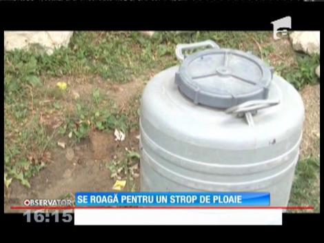 În Dâmboviţa, în satul Costişata, localnicii au rămas fără strop de apă din cauza secetei
