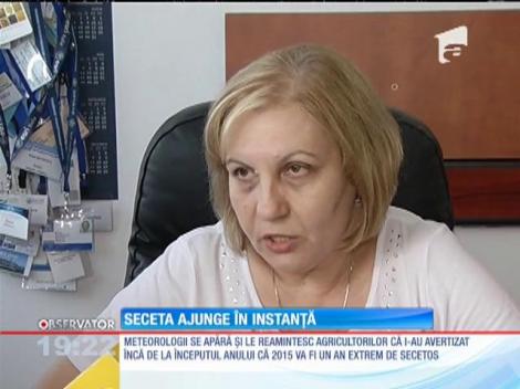 Agricultorii tună şi fulgeră pe meteorologi. Vor să-i dea în judecată pentru seceta de anul acesta