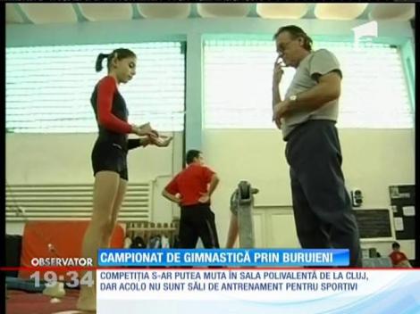 Bucureştiul ar putea organiza Campionatul European de Gimnastică la firul ierbii