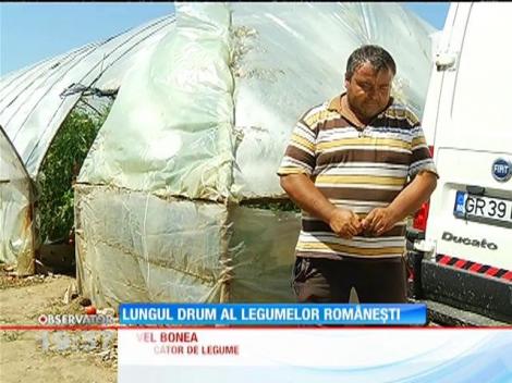 Legumele româneşti tot mai bine vândute de supermarket-uri