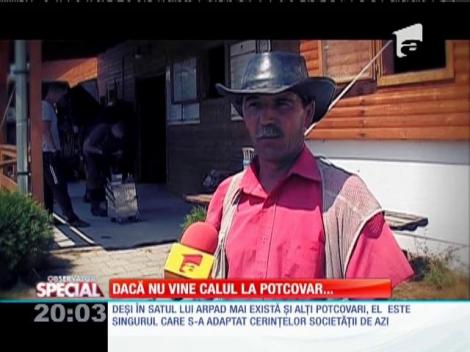 Special! Dacă nu vine calul la potcovar
