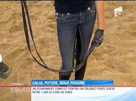 Românii cu bani investesc în cai