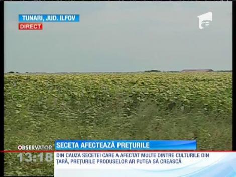 Din cauza secetei, preţurile vor creşte