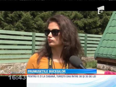La Bolboci, turiştii găsesc marea din Bucegi