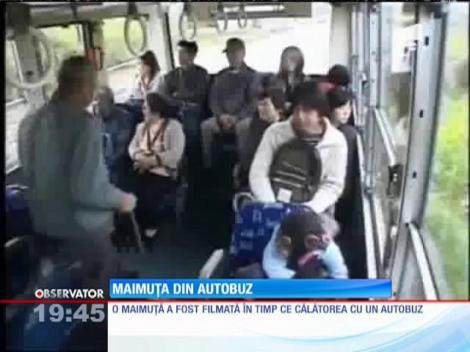 Maimuța din autobuz