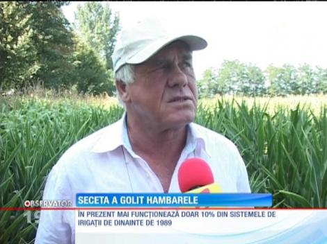 Seceta a pus agricultura românească la pământ