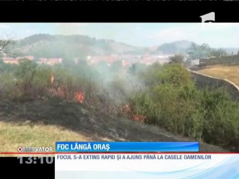Un puternic incendiu de vegetaţie izbucnit în pădurea Calnic