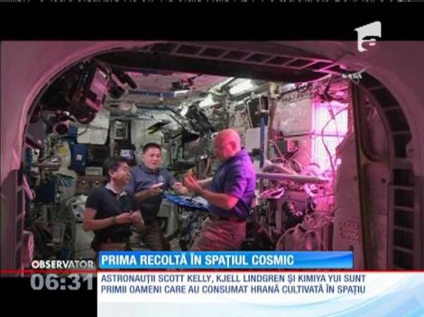Pentru prima oară în istorie, o salată roşie a crescut în spaţiu