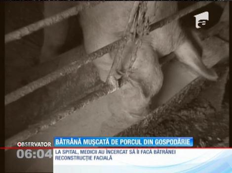 O bătrână din Gorj a ajuns la spital, desfigurată, după ce a fost muşcată de un porc