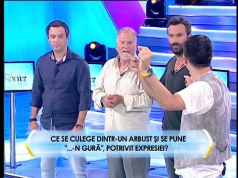 Runda 2: Ce se culege dintr-un arbust și se pune "...-n gură", potrivit expresiei?
