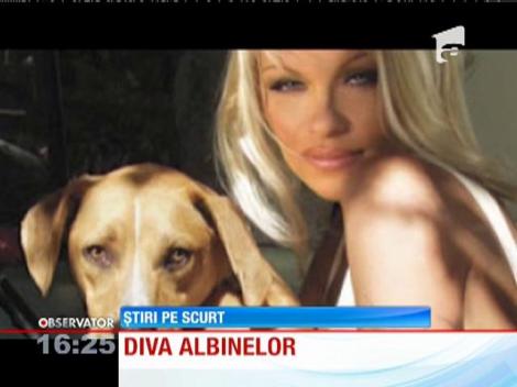 Pamela Anderson, îngrijorată de soarta albinelor din Rusia