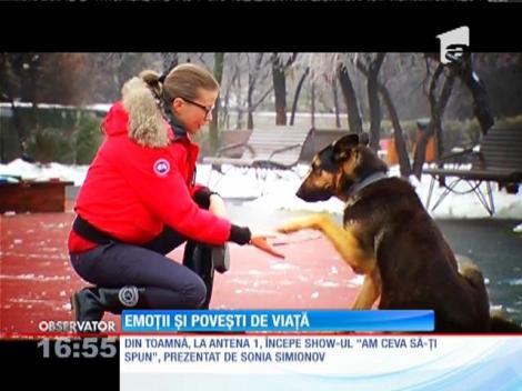 Un reporter de la Observator va prezenta show-ul "Am ceva să-ţi spun", la Antena 1