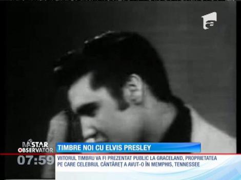 IMA Star Observator 13/08/2015