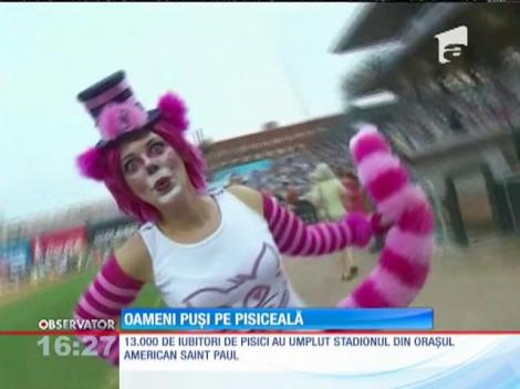 Festivalul de Film al Pisicilor