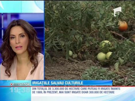 Sistemele de irigaţii din România sunt la pământ