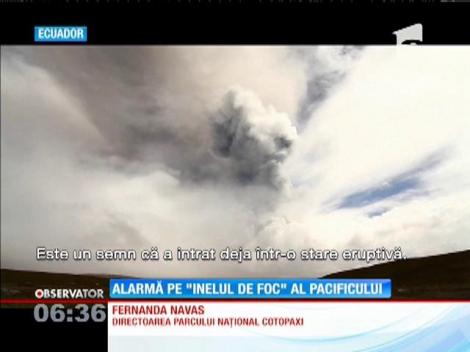 Câţiva vulcani adormiţi din "Inel de Foc" dau semne că vor erupe