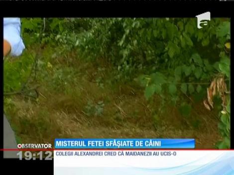 Moartea Alexandrei, adolescenta găsită sfâşiată într-un parc din Craiova, rămâne un mister