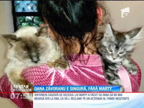 IMA Star Observator 18/08/2015