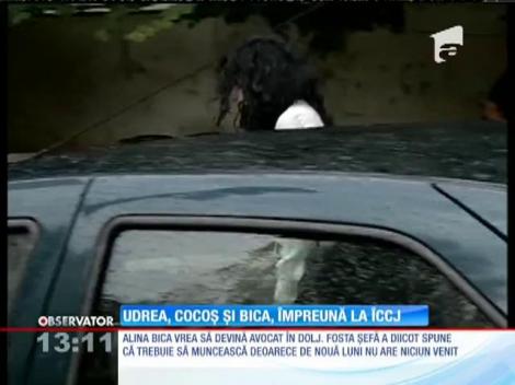 Elena Udrea, Alina Bica şi Alin Cocoş vor să scape de controlul judiciar