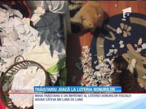 IMA Star Observator 20/08/2015