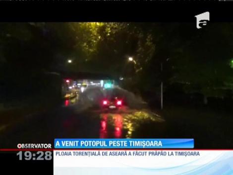 O ploaie torențială a făcut prăpăd în Timișoara