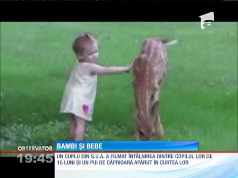 Întâlnirea jucăușă dintre o fetiță de un an şi jumătate şi un pui de căprioară