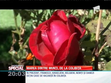 SPECIAL! Colibiţa, colţ de rai