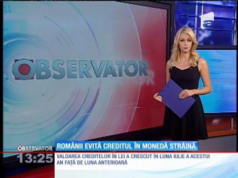 Românii evită creditul în moneda străină