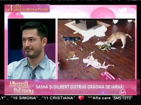 Dezastru în casa "Mireasă pentru fiul meu"!