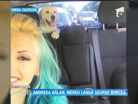 IMA Star Observator 27/08/2015