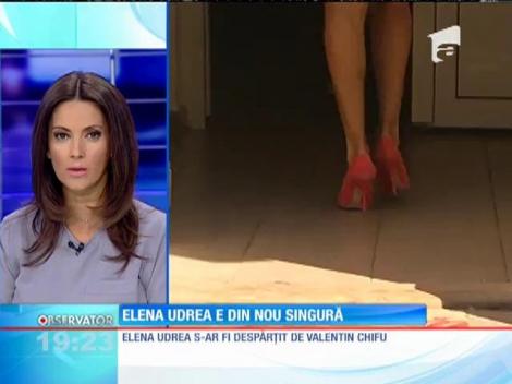 Elena Udrea şi Valentin Chifu s-au despărţit