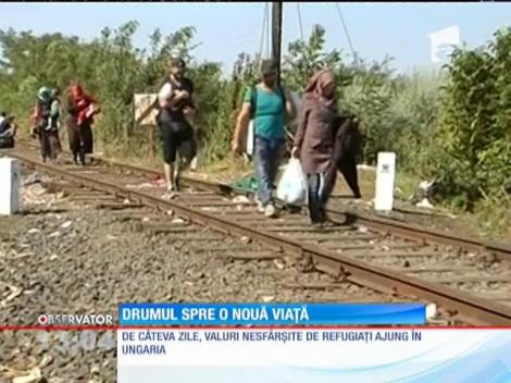 Valuri nesfârşite de refugiaţi ajung în Ungaria