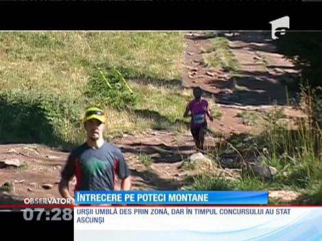 Competiţie printre brazi şi peisaje superbe, în Munţii Harghitei