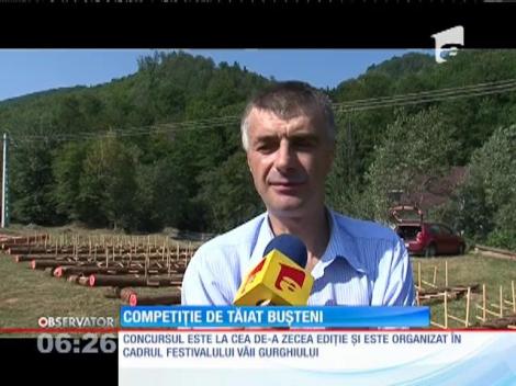 Cei mai buni tăietori de lemne din ţară s-­au întrecut în judeţul Mureş
