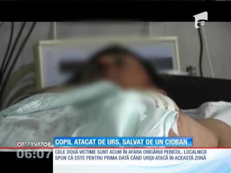 Copil atacat de urs, salvat de un cioban