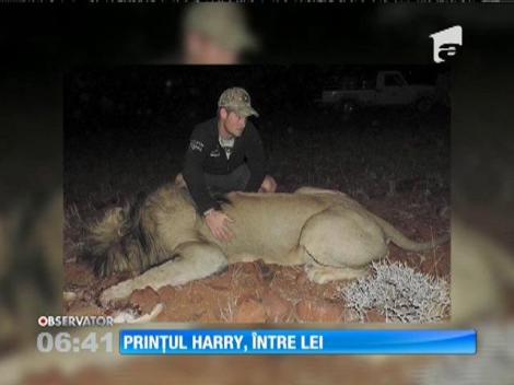 Prinţul Harry, între leii din sudul Africii