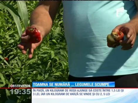 Preţurile la legume, la producători, au crescut şi cu 50%!