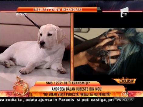 Andreea Bălan a trecut de dramele din viața sa