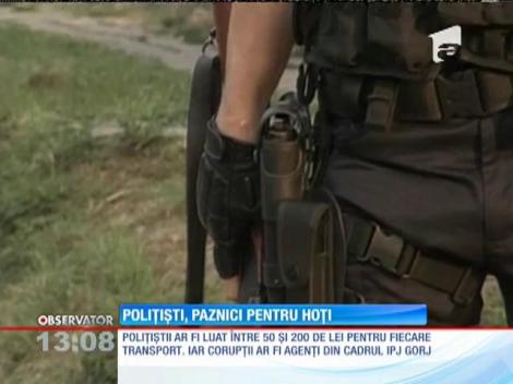 13 poliţişti sunt suspectaţi că i-ar fi sprijinit pe hoţii de cărbune din complexul energetic Oltenia