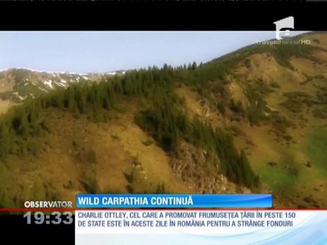 Documentarul Wild Carpathia continuă cu un nou episod spectaculos