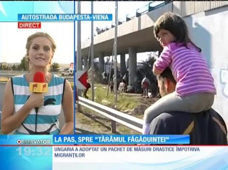 Migranții au pornit spre destinaţia lor pe jos