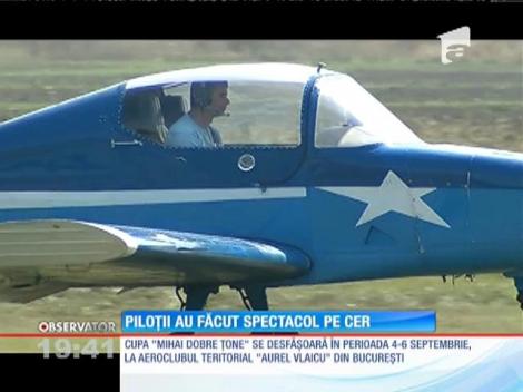 Piloţii au făcut spectacol pe cer, la Clinceni