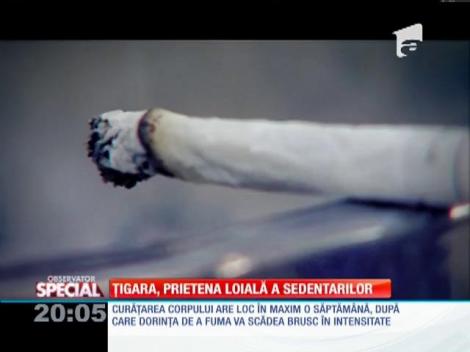 SPECIAL! Țigara, prietena loială a sedentarilor