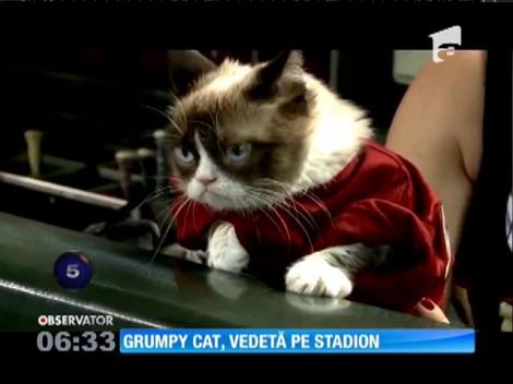 Grumpy Cat, cea mai cunoscută pisică din lume, a dat lovitura de deschidere la un meci de baseball