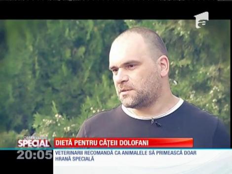 SPECIAL! Dieta pentru câinii dolofani