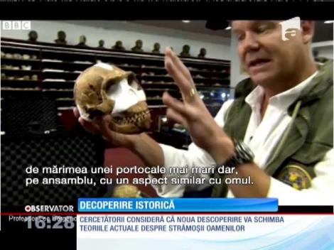 O nouă specie umanoidă a fost descoperită într-o peşteră din Africa de Sud