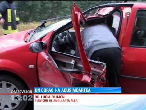 A murit strivit de un copac desprins de pe un versant, în propria mașină!